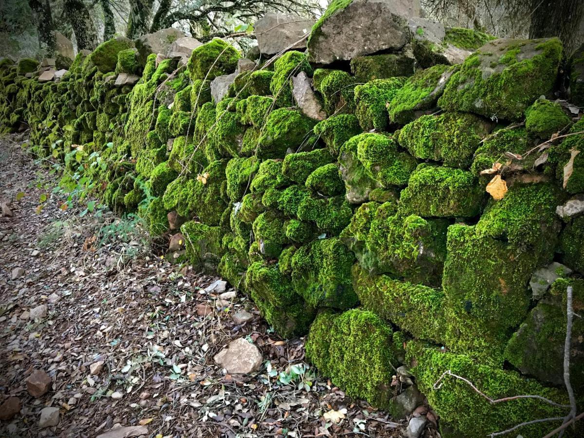 Casa Rural Sierra Tórtola 1 Hinojales Zewnętrze zdjęcie