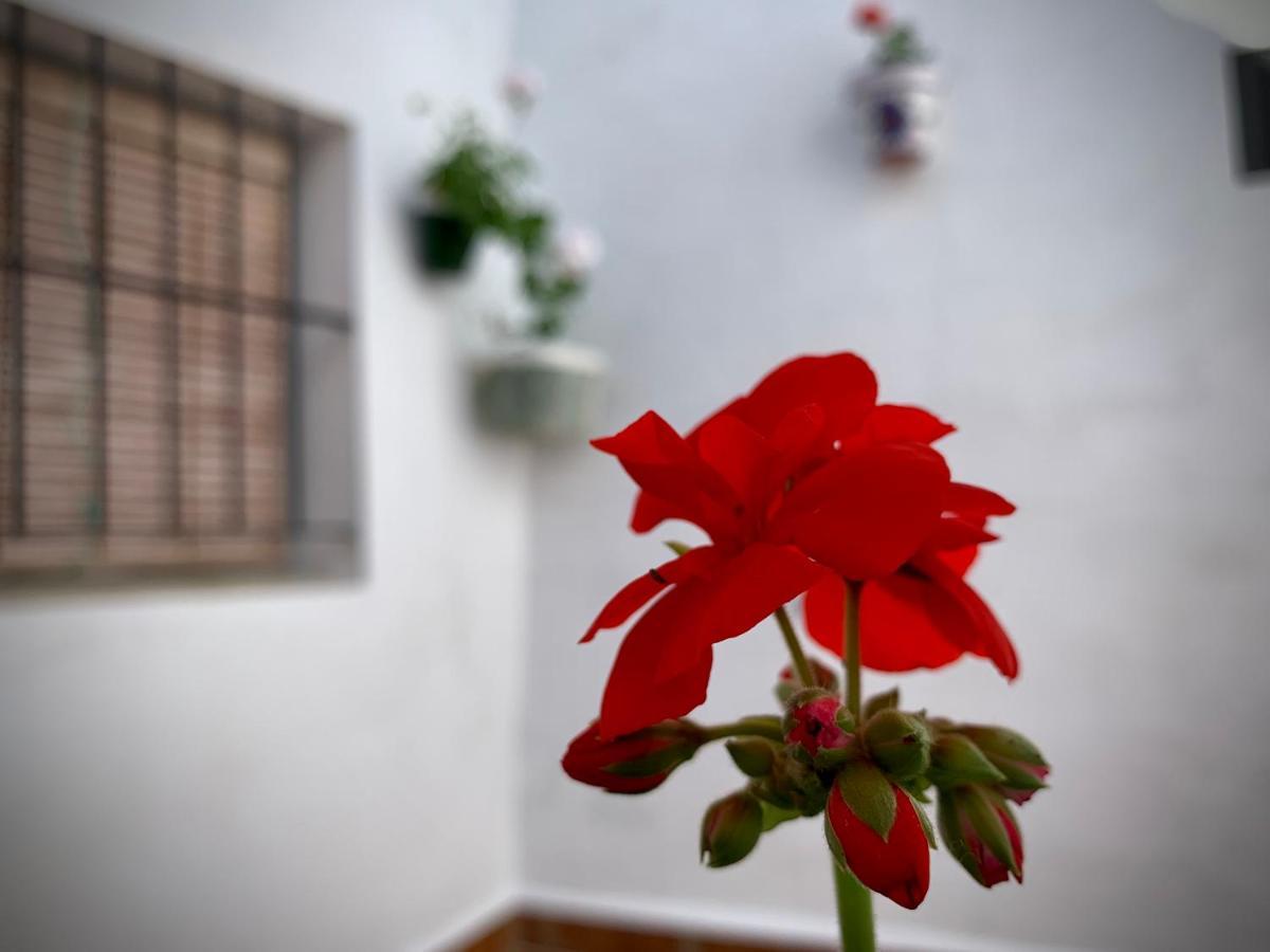 Casa Rural Sierra Tórtola 1 Hinojales Zewnętrze zdjęcie